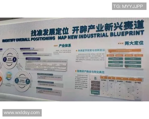 成都排球队近期状态分析与未来发展方向探讨 成都排球队近期状态分析与未来发展方向探讨