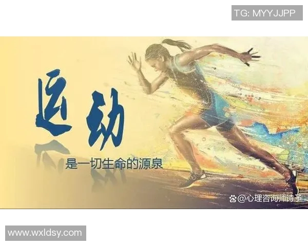 成都篮球队的精神探索与团队意识的深度剖析