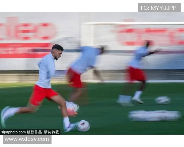 摩纳哥国际籍足球明星的辉煌历程与成就探秘 摩纳哥国际籍足球明星的辉煌历程与成就探秘