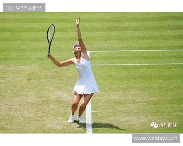 杭州网球队个人能力深度解析与发展策略探讨 杭州网球队个人能力深度解析与发展策略探讨