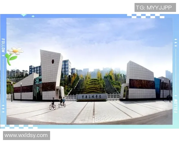 从零起步掌握篮球技巧与个人能力提升全方位指南 从零起步掌握篮球技巧与个人能力提升全方位指南