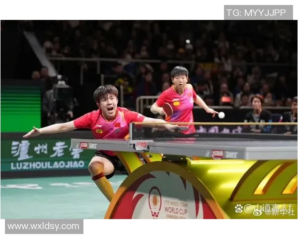 武汉乒乓球队状态分析与未来展望聚焦乒乓球运动发展新机遇 武汉乒乓球队状态分析与未来展望聚焦乒乓球运动发展新机遇