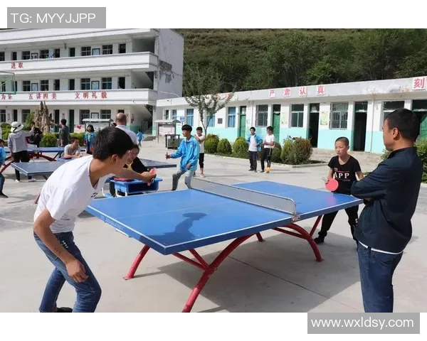 赵军独家分享乒乓球技巧与心得助你提升球技的全面指南 赵军独家分享乒乓球技巧与心得助你提升球技的全面指南