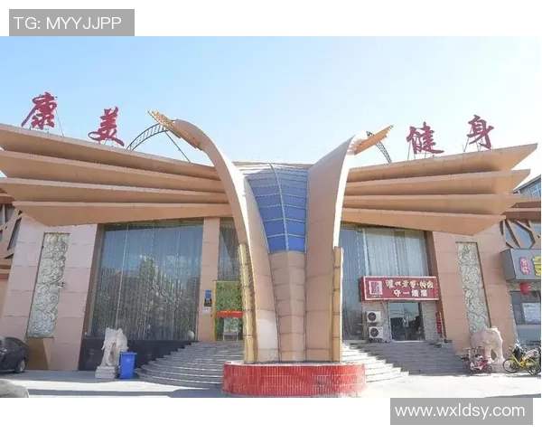 成都羽毛球队运营模式分析与发展前景探讨