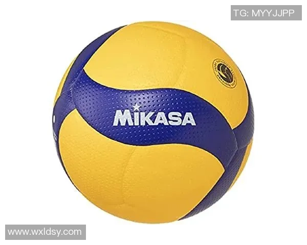 排球意识排行榜揭晓上海排球队荣登榜首引发热议