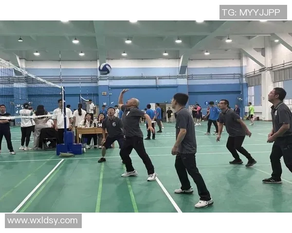 杭州排球队在奥运会上的团队协作展现出无与伦比的默契与拼搏精神