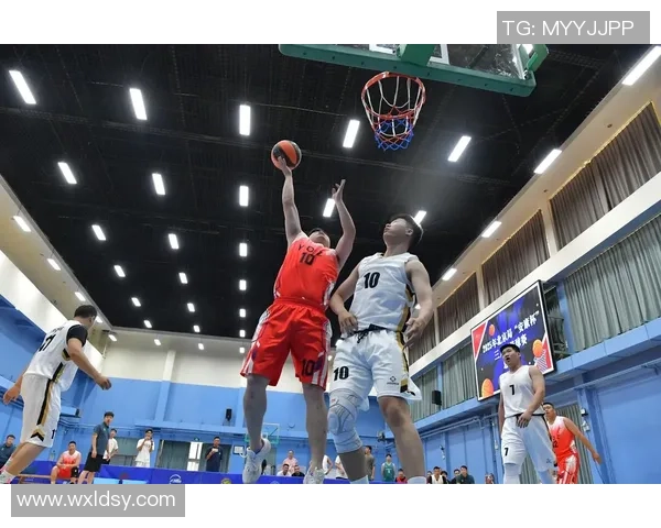 北京篮球队最新比赛经验分享TOP10引领全场表现分析