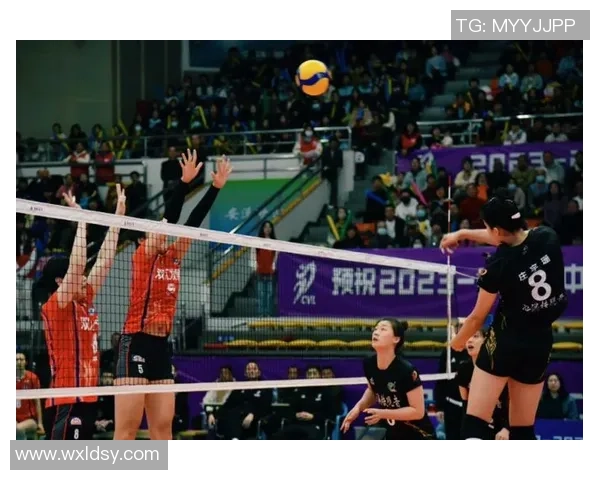 深入分析上海排球队整体压制战术及其对比赛的影响与优势